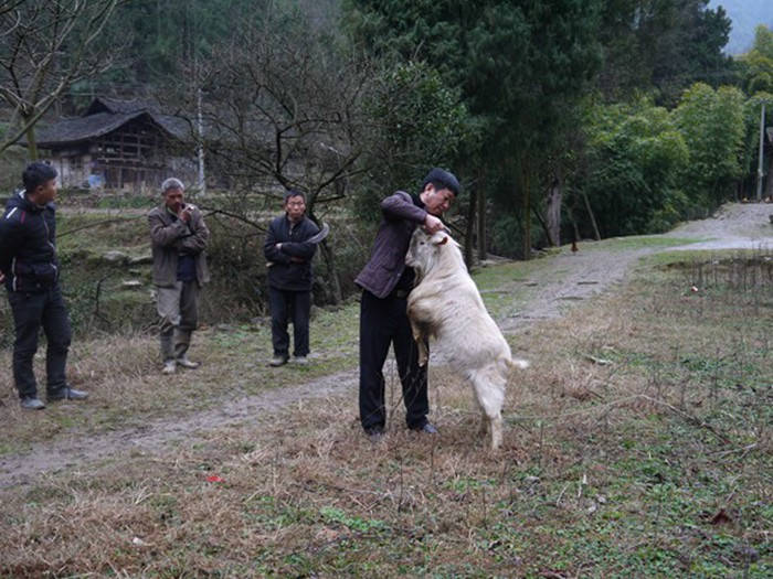 九龍地礦公司扶貧蹲點回訪紀實